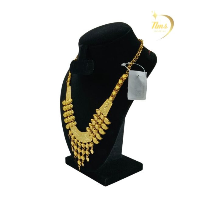 NKL-00001.1 NKL-00001.1