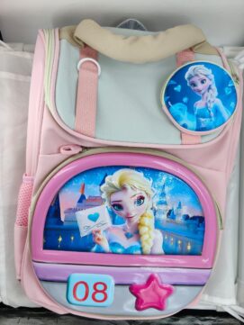 Frozen Elsa Theme School Backpack with Coin Pouch for Kids.